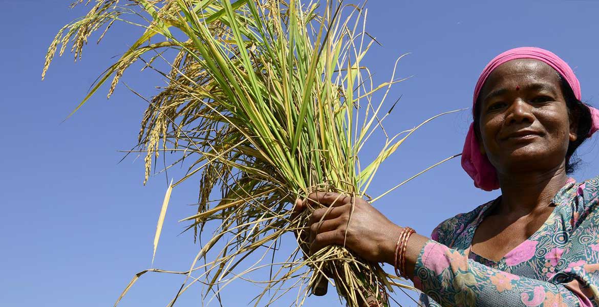 Eine Frau mit pinkem Kopftuch hält ein geerntetes Büschel Getreide in die Luft. Foto: Jörg Böthling