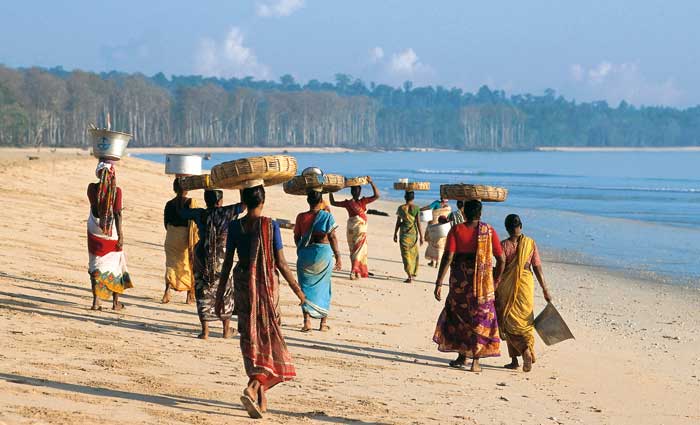 mm 4 2024 Papua Fabrik