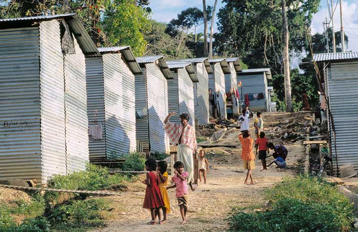 mm 4 2024 Papua Settlement