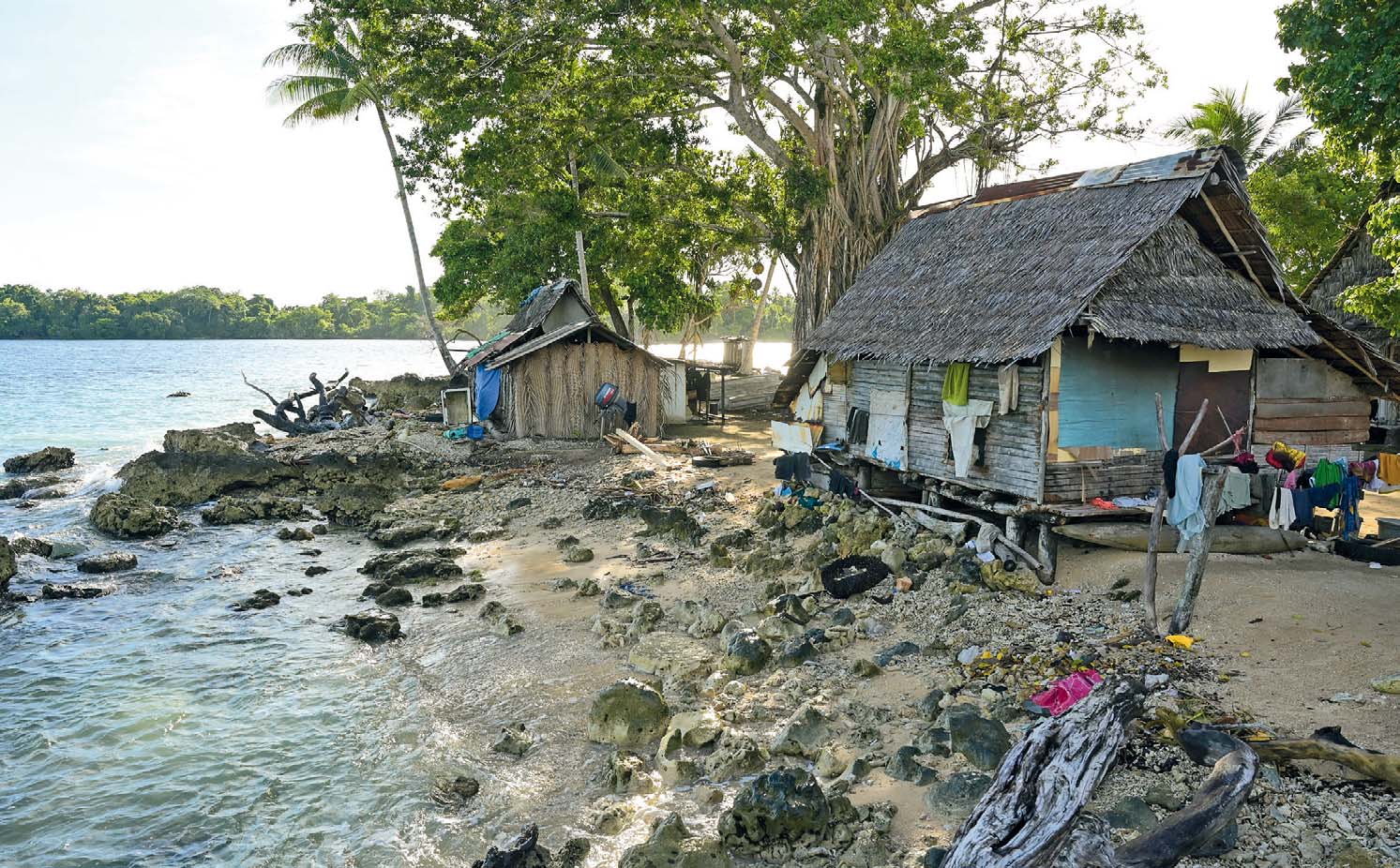 mm 5 2024 Insel Mazaz