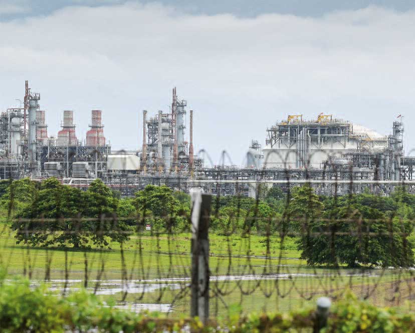 mm 4 2024 Papua Fabrik