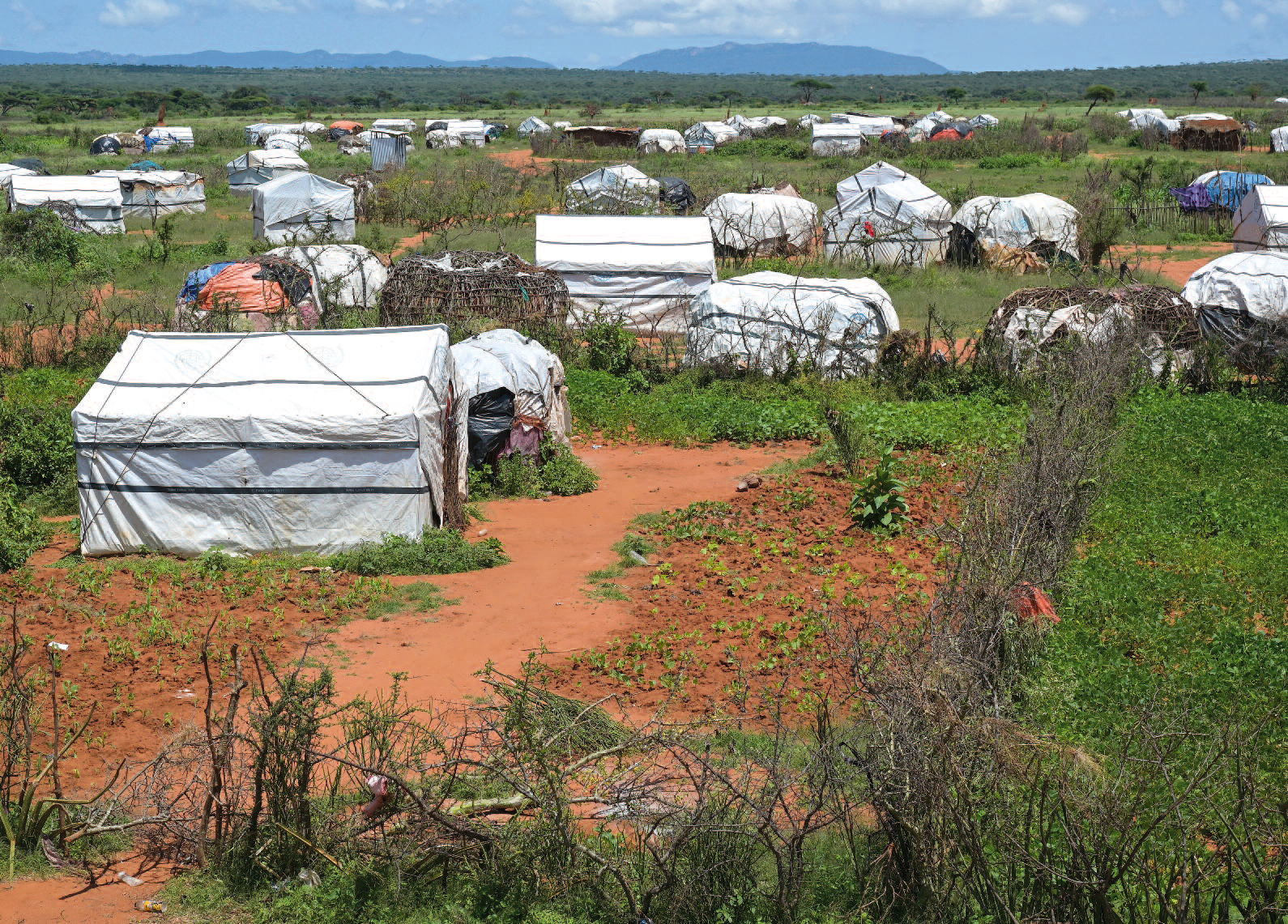 Camp mit kleinen Hütten, gedeckt mit weißen Plastikplanen. Dazwischen wurden notdürftig Zäune gepflanzt.
