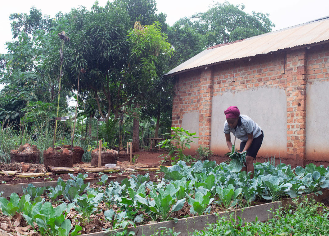 Eine Frau arbeitet auf einem Feld in Uganda.