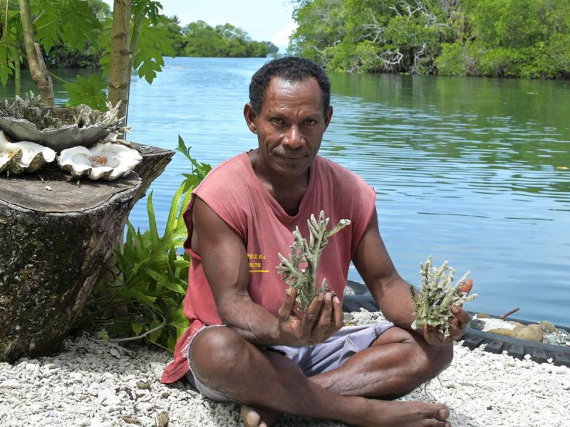 Ein Umweltschützer in Papua-Neuguinea mit Korallenstücken, die als neue Setzlinge verwendet werden können.